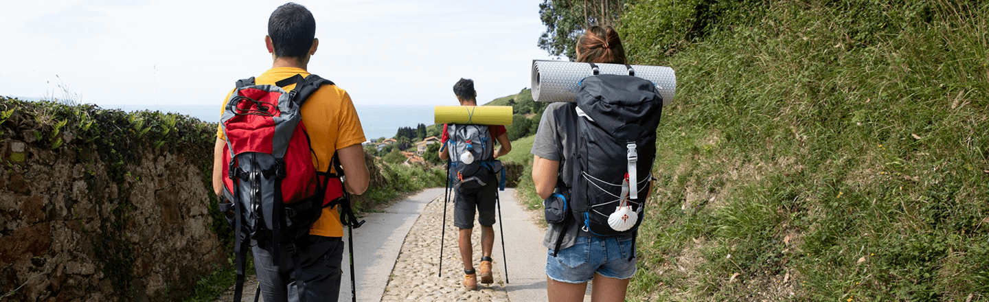 Imogen Whitfield Guide Banner