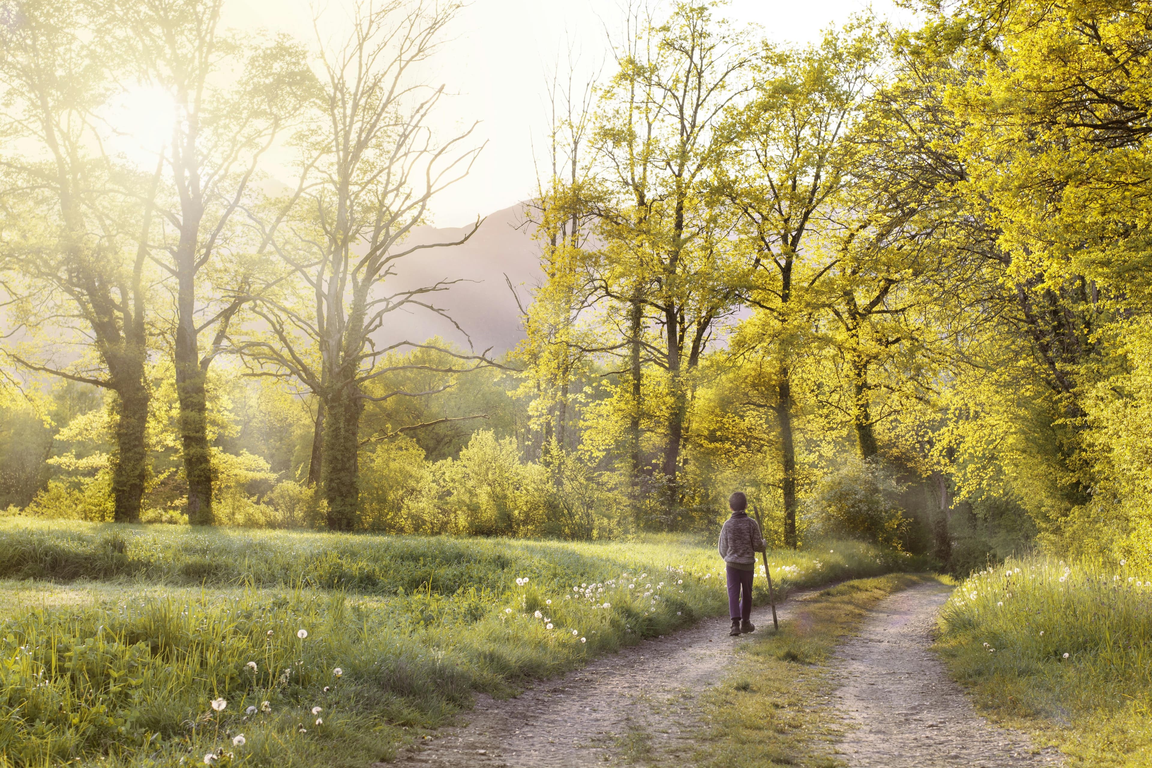 Is 7000 Steps a Day Good? The Science-Backed Answer That Will Surprise You