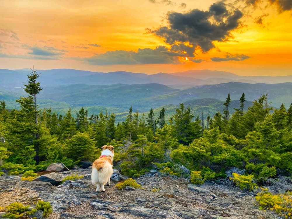 Best Hikes in New England: 7 Epic Trails Through America's Fall Paradise