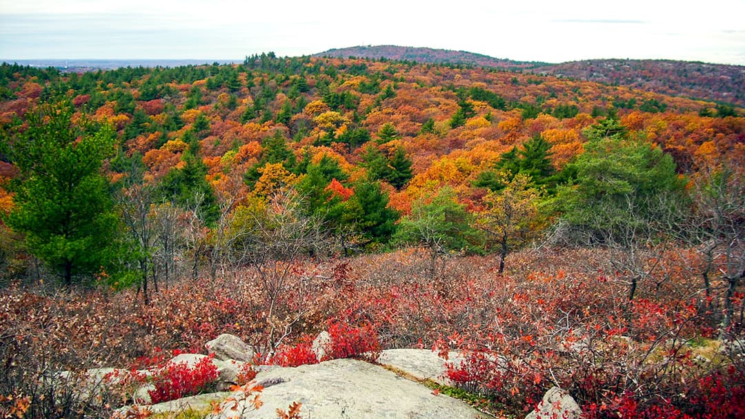 Greater Boston Hikes Image