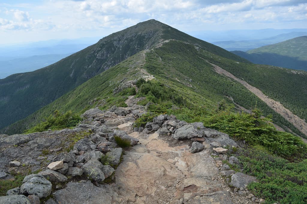 New England NE 67 Highest