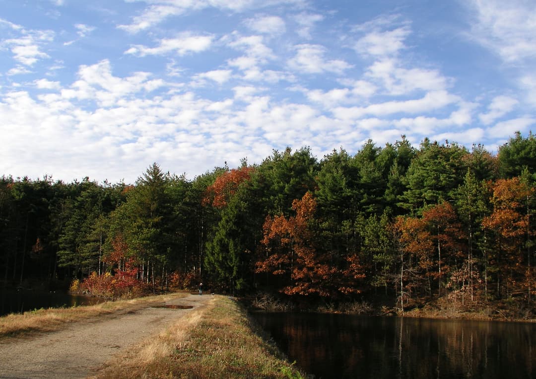 Middlesex Fells Reservation Hikes Image