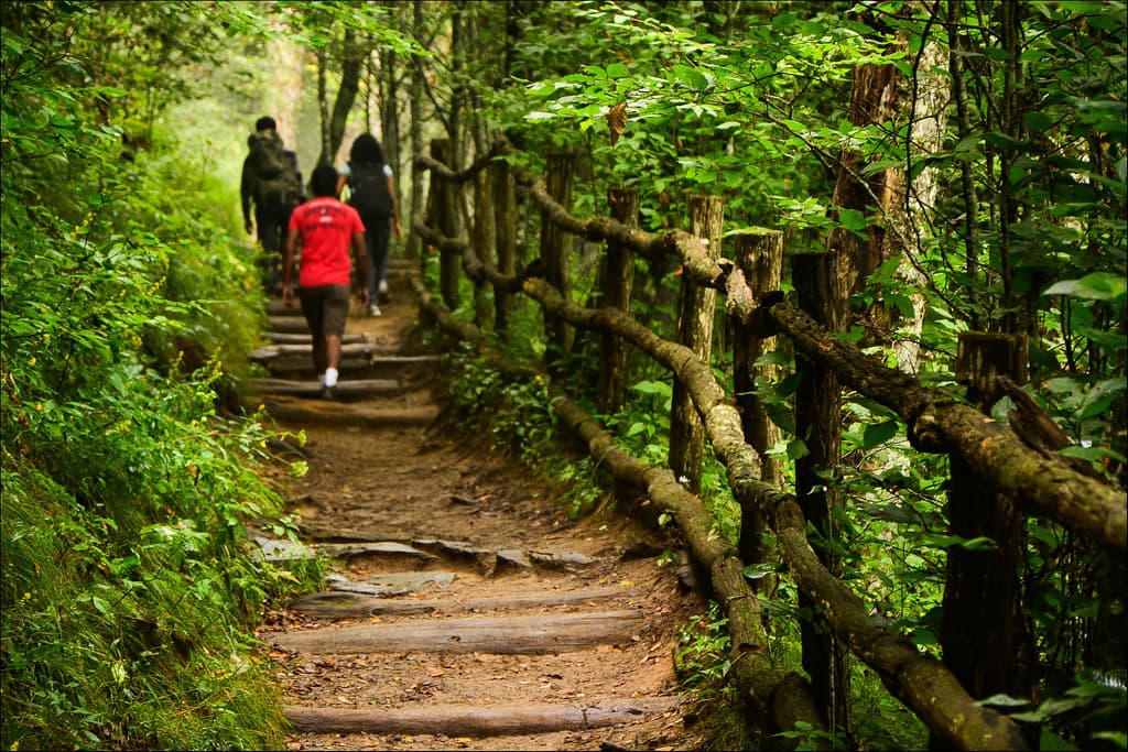 Appalachian Trail