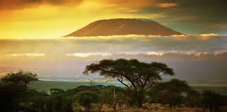 Kilimanjaro
