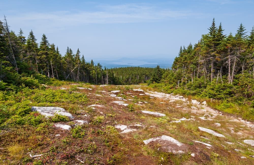 Saddleback Mountain (The Horn)
