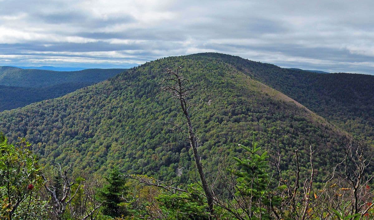 Middle Sugarloaf (Twin Mountain)