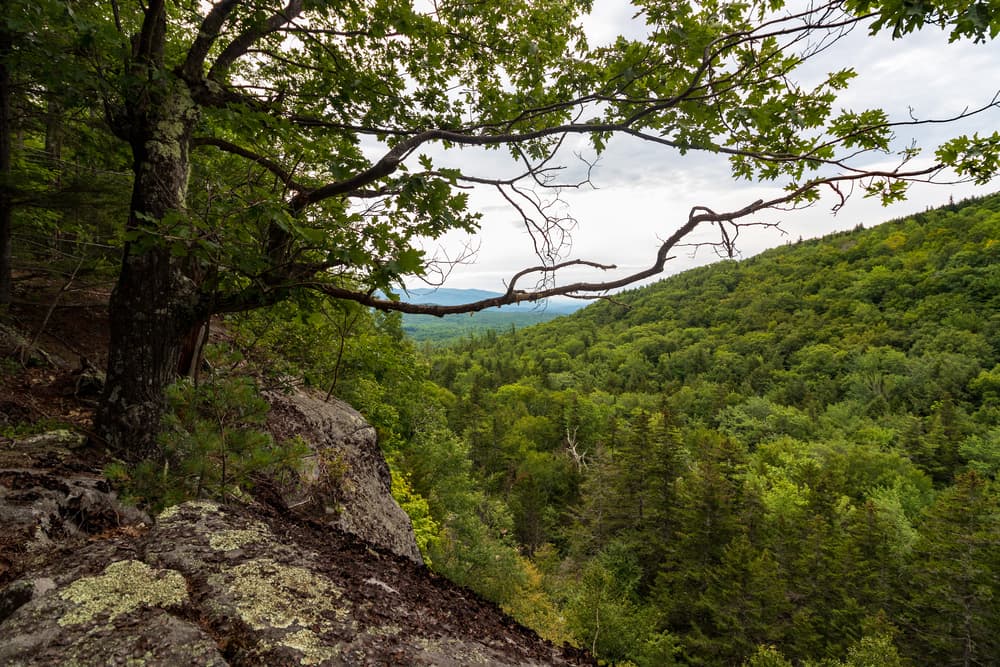Sandwich Mountain (Dome)