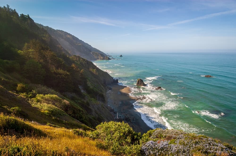 Redwood National Park