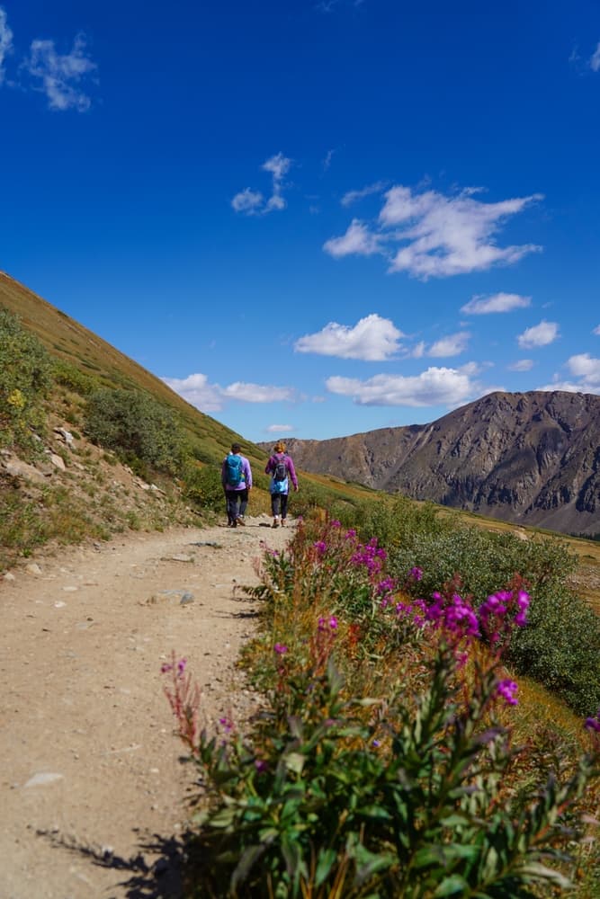 Torreys Peak