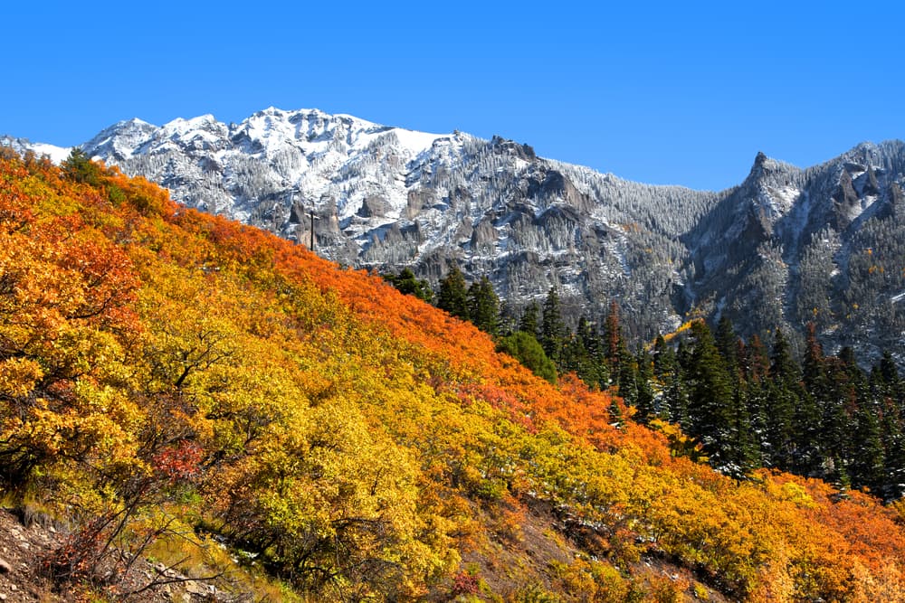 Handies Peak