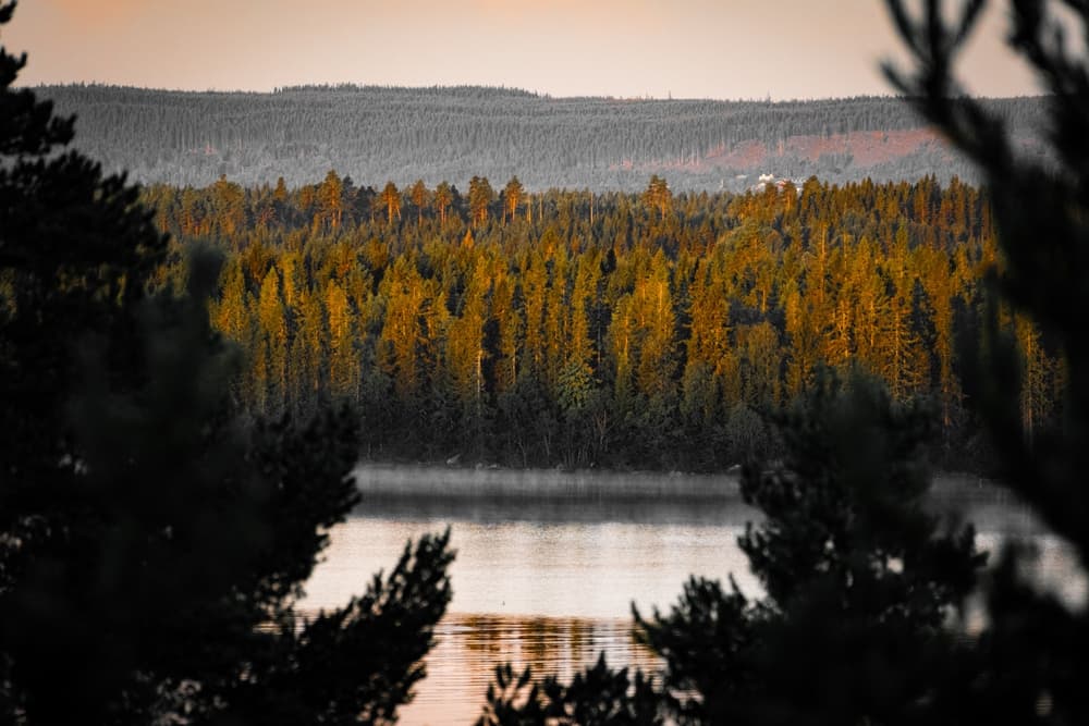 Swede Mountain Fire Tower