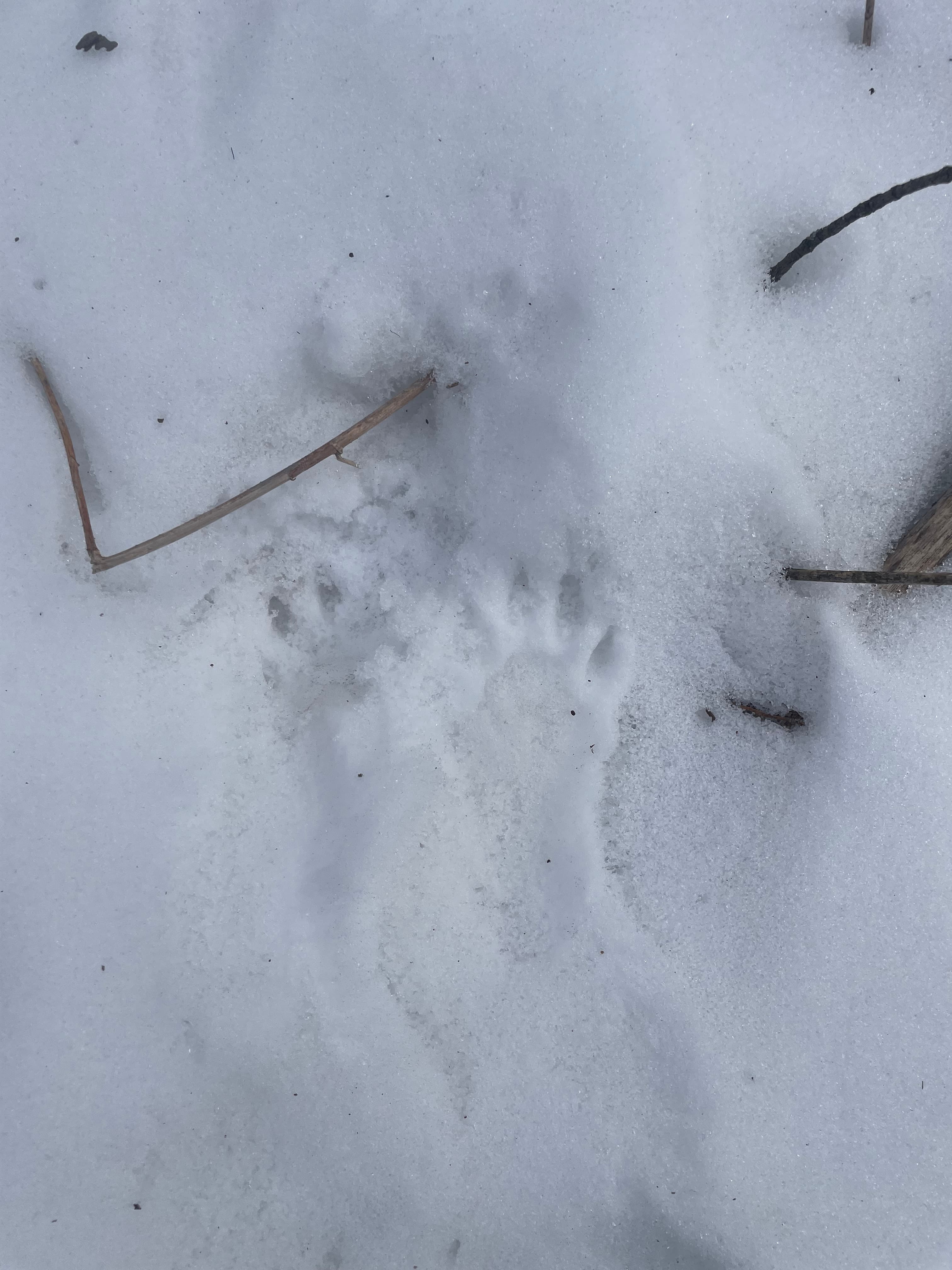 Nomi Kate Monson LICSW Guide Gallery