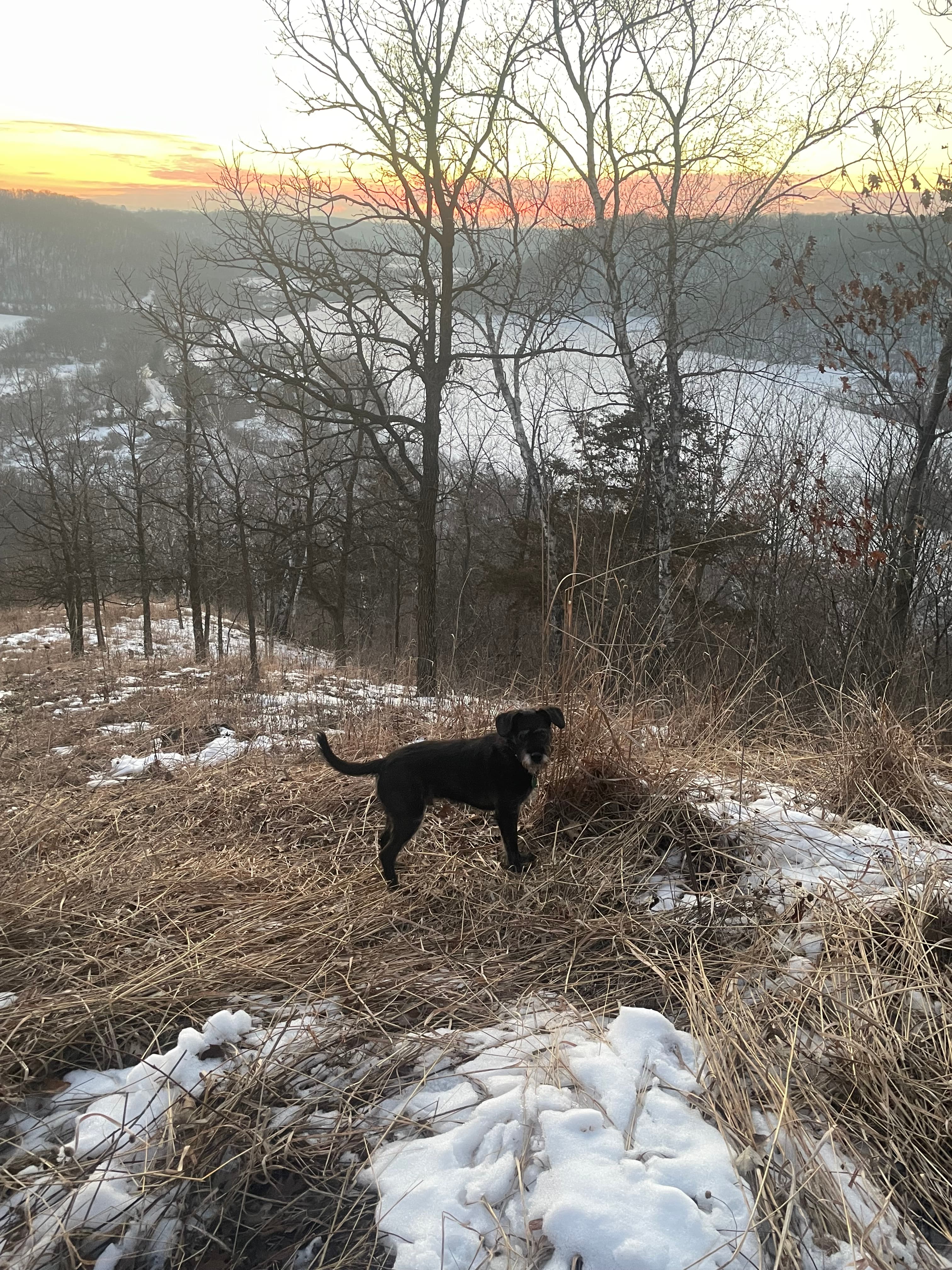 Nomi Kate Monson LICSW Guide Gallery